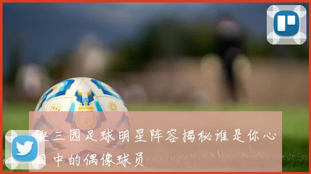 逛三园足球明星阵容揭秘谁是你心目中的偶像球员