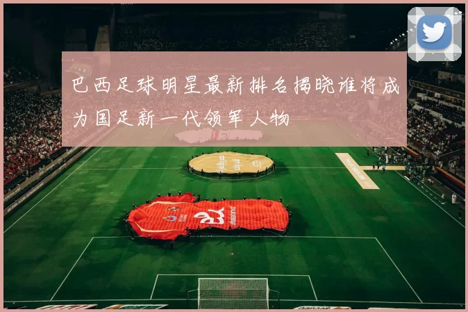 巴西足球明星最新排名揭晓谁将成为国足新一代领军人物