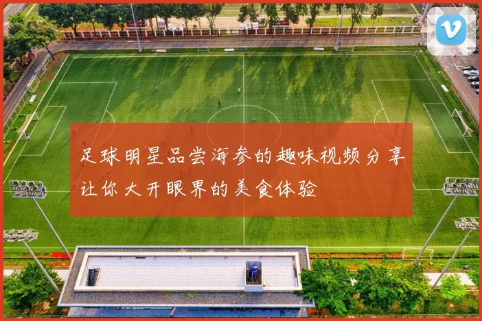 足球明星品尝海参的趣味视频分享让你大开眼界的美食体验