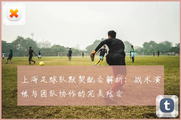 上海足球队默契配合解析：战术演练与团队协作的完美结合
