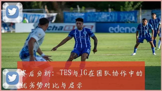 赛后分析：TES与IG在团队协作中的优劣势对比与启示
