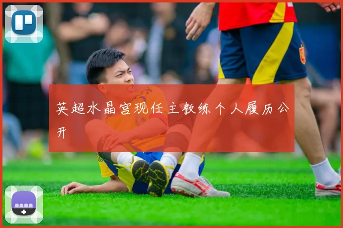 英超水晶宫现任主教练个人履历公开