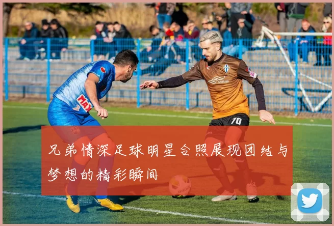 兄弟情深足球明星合照展现团结与梦想的精彩瞬间
