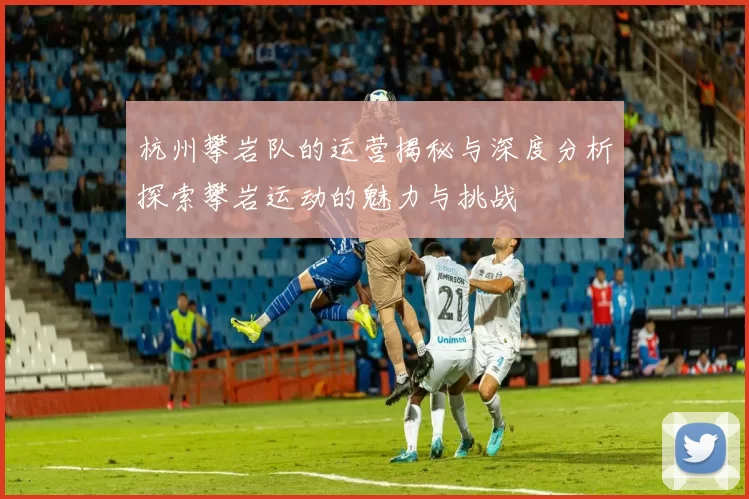 杭州攀岩队的运营揭秘与深度分析探索攀岩运动的魅力与挑战
