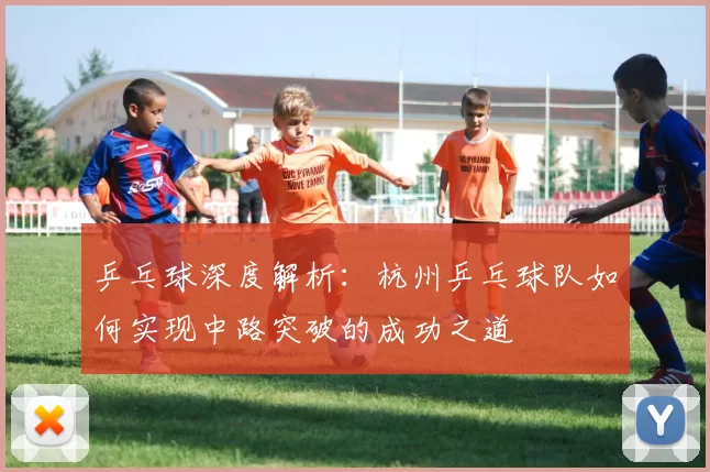 乒乓球深度解析：杭州乒乓球队如何实现中路突破的成功之道