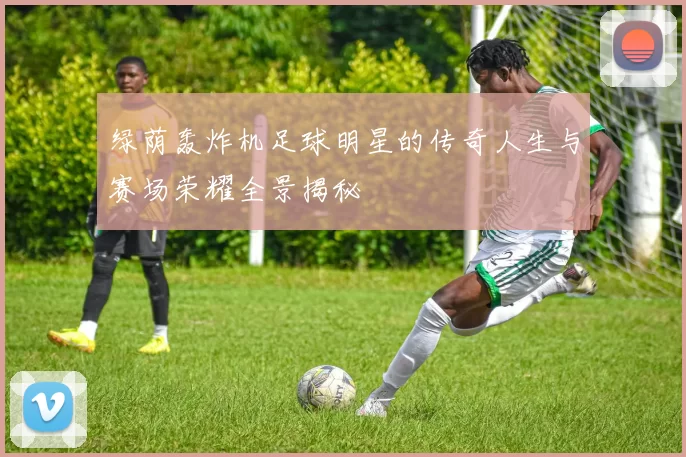 绿荫轰炸机足球明星的传奇人生与赛场荣耀全景揭秘