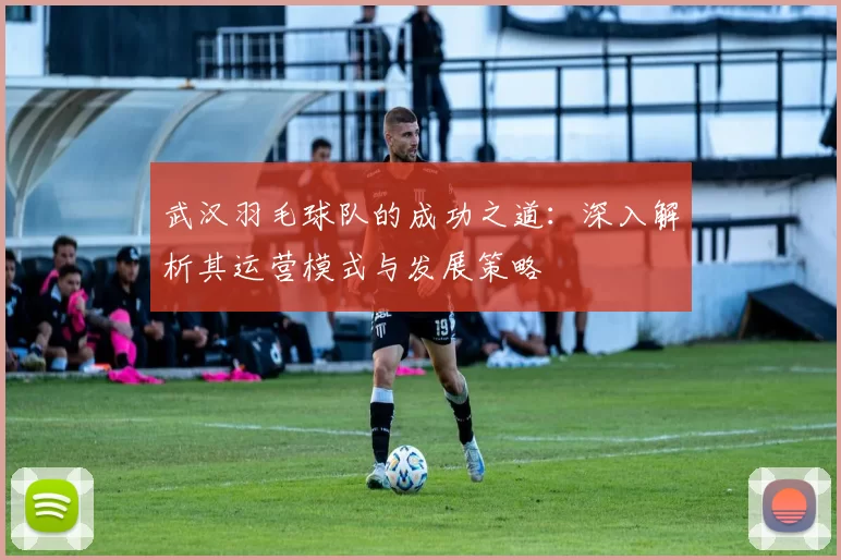 武汉羽毛球队的成功之道：深入解析其运营模式与发展策略