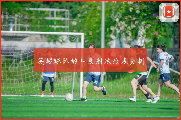 英超球队的年度财政报表分析