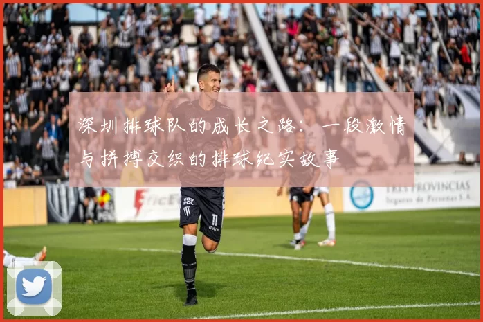 深圳排球队的成长之路：一段激情与拼搏交织的排球纪实故事