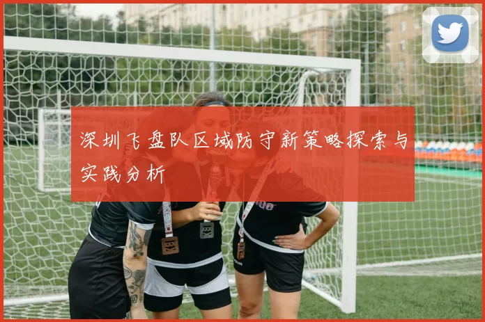深圳飞盘队区域防守新策略探索与实践分析