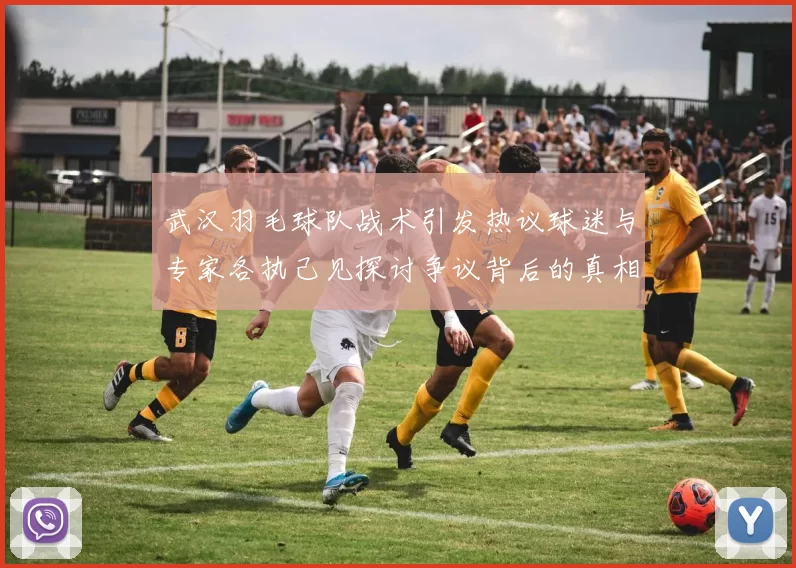 武汉羽毛球队战术引发热议球迷与专家各执己见探讨争议背后的真相