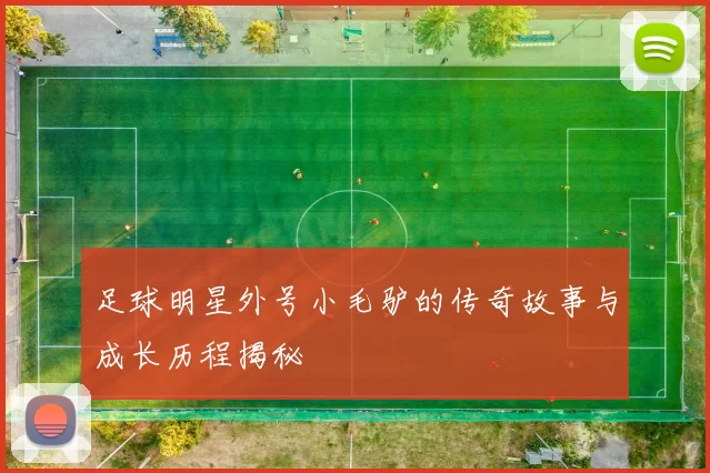 足球明星外号小毛驴的传奇故事与成长历程揭秘
