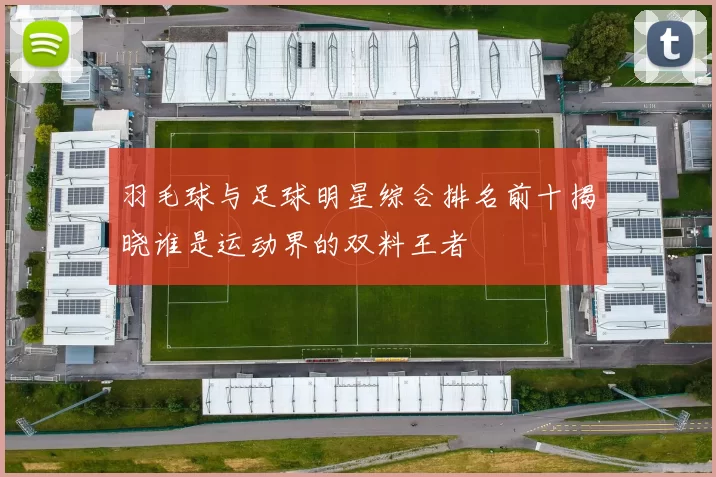 羽毛球与足球明星综合排名前十揭晓谁是运动界的双料王者