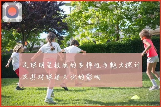 足球明星板块的多样性与魅力探讨及其对球迷文化的影响