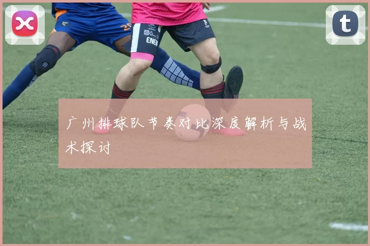 广州排球队节奏对比深度解析与战术探讨