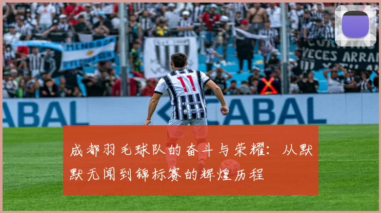 成都羽毛球队的奋斗与荣耀：从默默无闻到锦标赛的辉煌历程