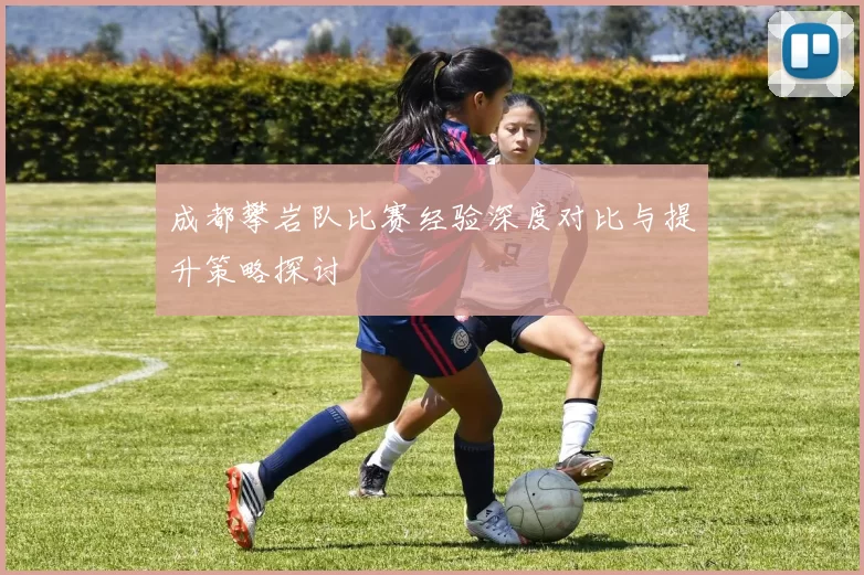 成都攀岩队比赛经验深度对比与提升策略探讨