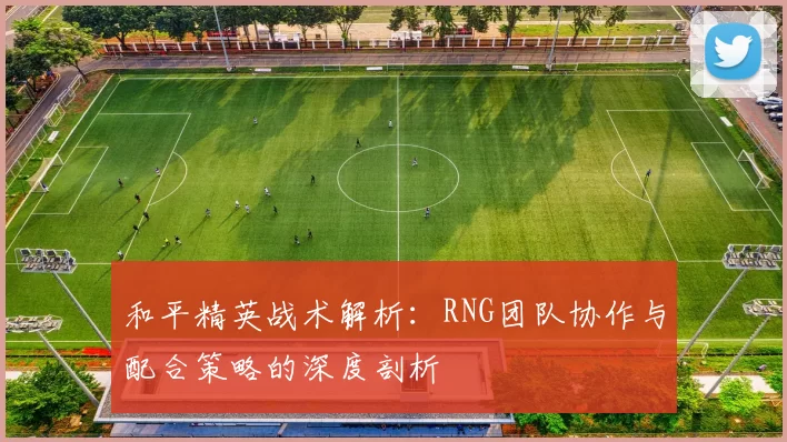 和平精英战术解析：RNG团队协作与配合策略的深度剖析