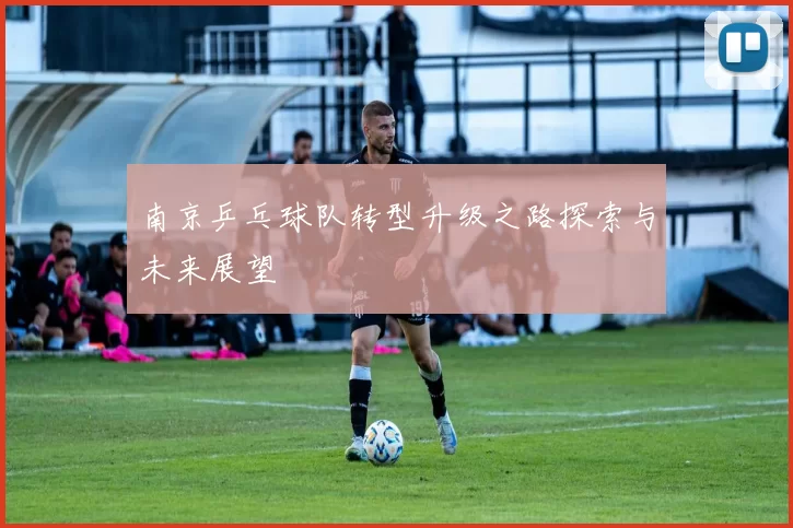 南京乒乓球队转型升级之路探索与未来展望