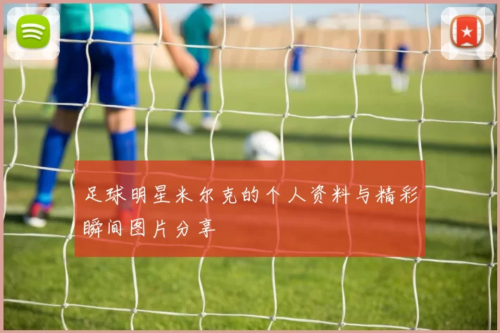 足球明星米尔克的个人资料与精彩瞬间图片分享