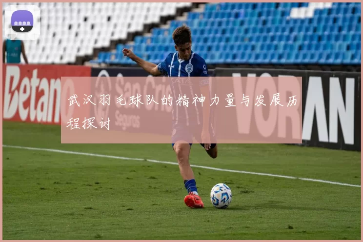 武汉羽毛球队的精神力量与发展历程探讨